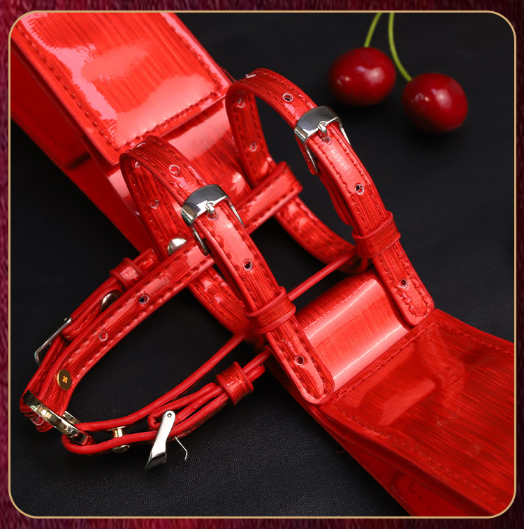 Wearable Dildo Cover with Strap-On Harness for Couples — detail image 23