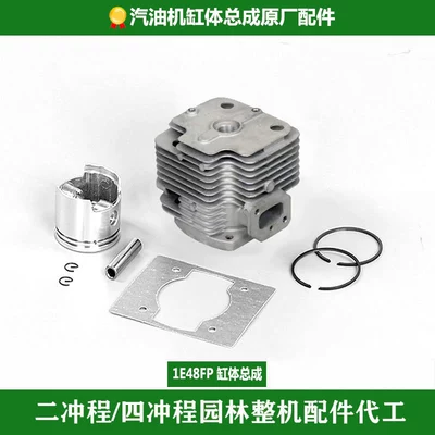 Complete Machine Parts, Cylinder Block | Gasoline Engine Oil - cylinder-assembly-48fp