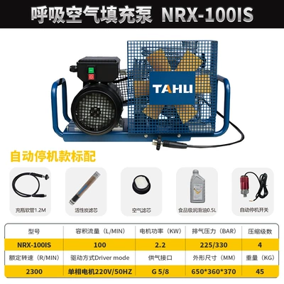Hava kompressorları High-Pressure Inflatable Pump Air - nrx-100is-220v-comes-standard-with-free-oil-filter