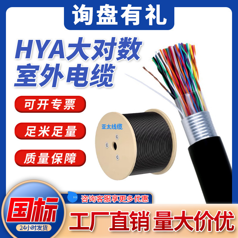 Hya25×2×0.5 Category 5 Large Pair Communication Cable, Oxygen-Free Copper, Outdoor Flame-Retardant Armored, Low Smoke and Halogen-Free