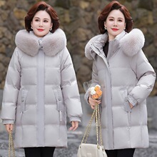 ����Ů��q���߶˶�����ů�����������Bñ��ë�I�����q������L��