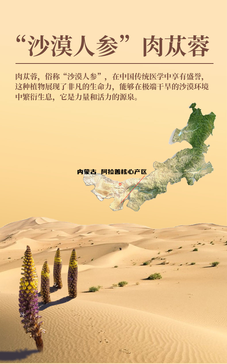 Cistanche Deserticola Oral Liquid Concentrate Gift Box 30ml x 10 Bottles Inner Mongolia Desert Gold quality and texture