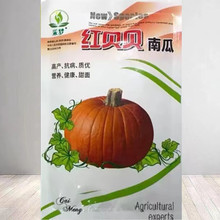 红贝贝南瓜种子绿贝贝板栗南瓜种籽高糖甜盆栽蔬菜种孑农家菜园