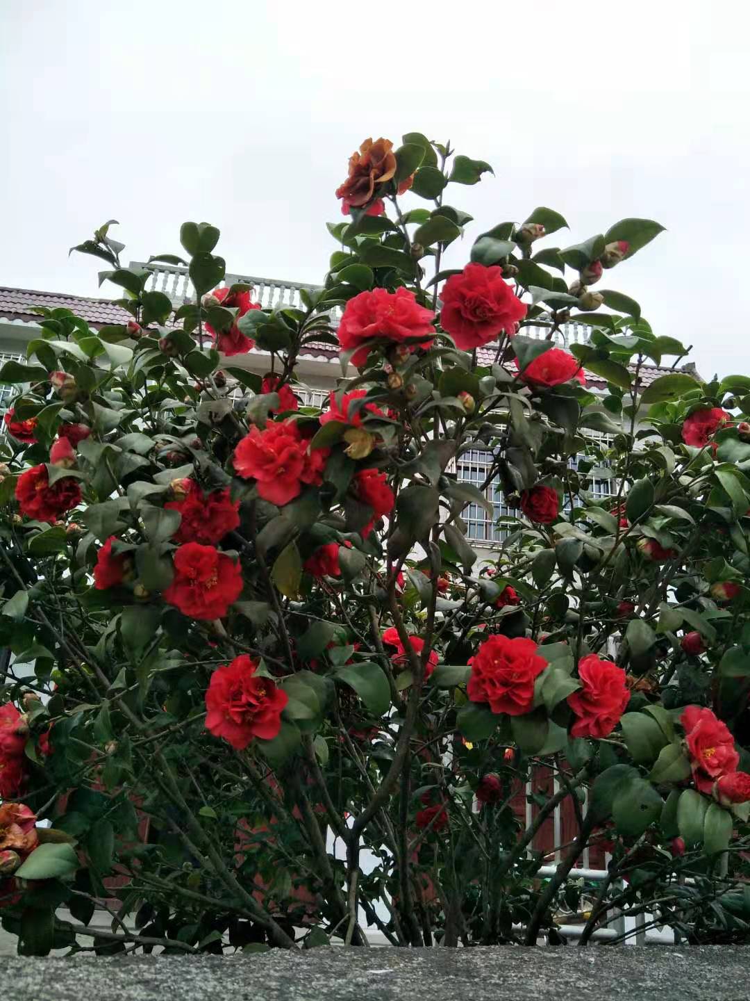 微信图片_20210221164806