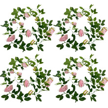 ����õ�廨�����ڒ콁����c�b��r���Gֲ�ٗl����ֲ�ﻨ�����l