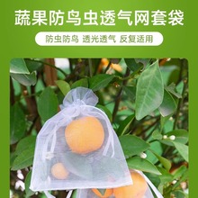 水果套袋防鸟网纱袋瓜果防虫袋无花果枇杷葡萄桃子草莓保护袋批发