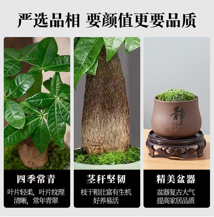 详情图