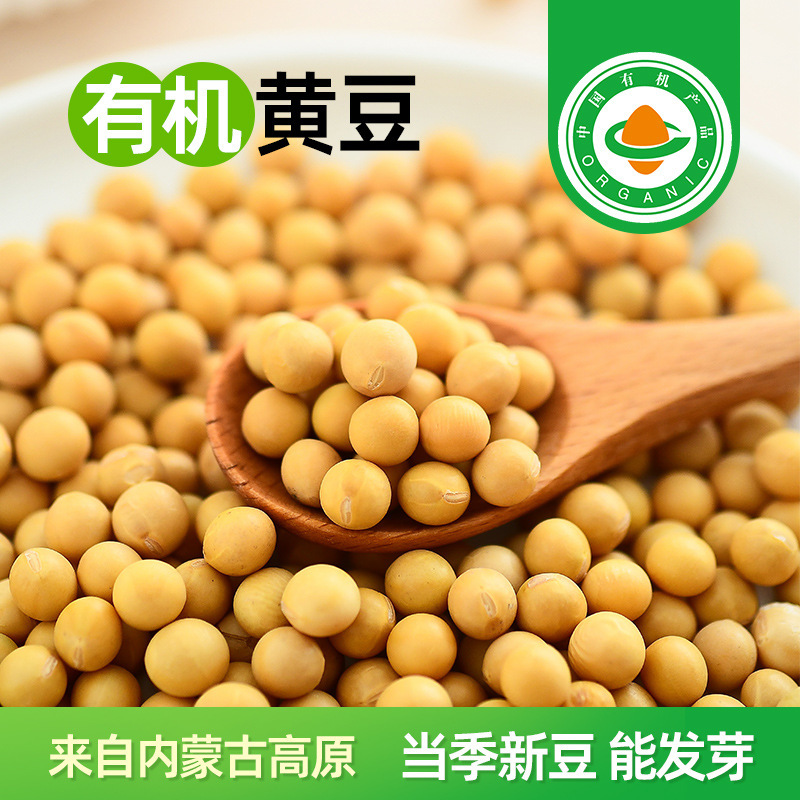 Organic Soybean Non-GMO Soybean Germination Soybean Milk Special Grain High Protein Household New Soybean