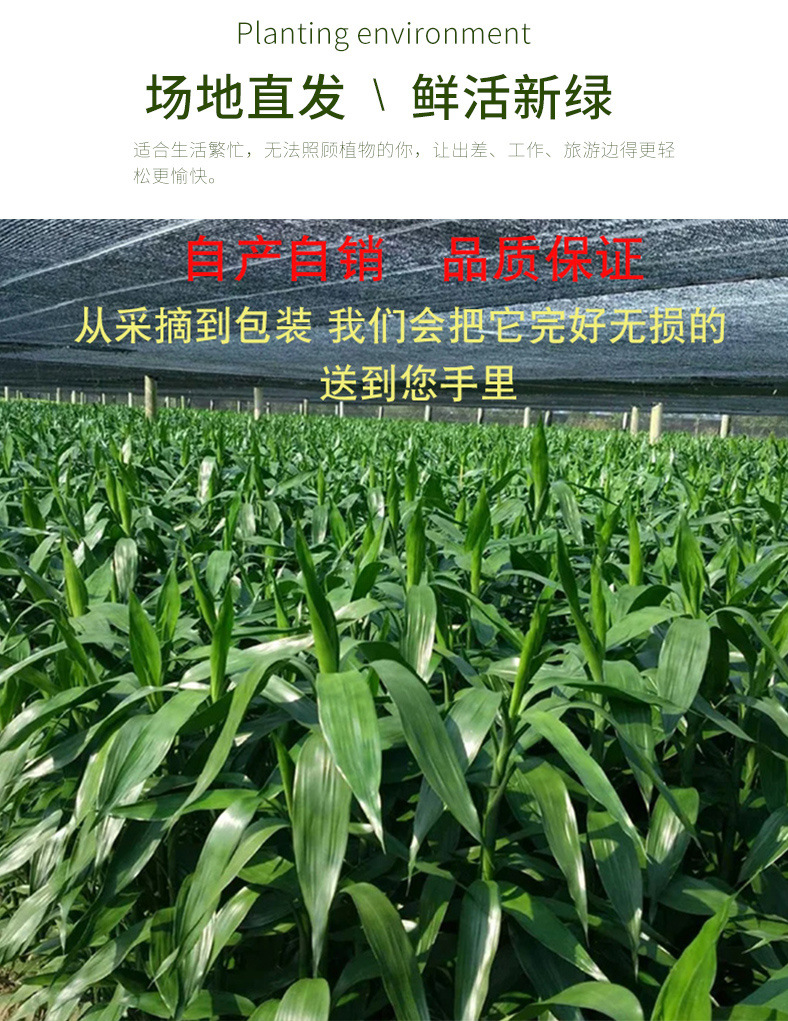 615e769b-e5fe-469b-84e7-cd5f53f9355f.jpe