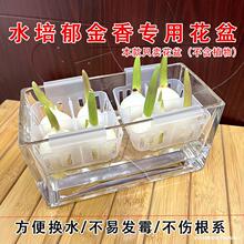 ˮ�������㻨�躬��ֲ�@ˮ�B�N�������󷽱�Qˮ͸�������㻨ƿ