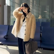 ȫë˹ëƤŮ޴гƤëһ