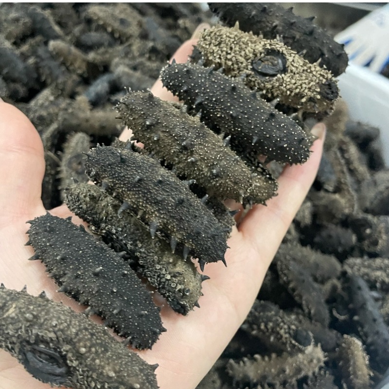 大连纯淡干辽刺淡干海参干货散装海参礼盒装非即食非糖干参