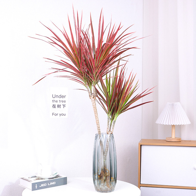 인기 특별 선택: 51- 71cm 높이 [나무 2그루]