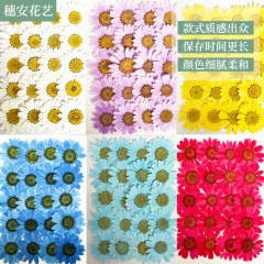 厳選されたフラットフラワー DIY 材料パッケージ染色大型クリスタル菊ドライフラワーエンボス携帯電話接着剤テーブルランプフェイスエンボスフラワーバッグ