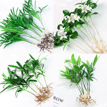 ���������Ի�������Ҭ��С��������k��������Gֲˮ��ֲ�Ｊ���t