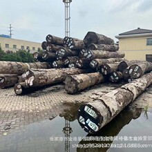 �\�~�Kľ��������ԭľ���� �Z�а� �����Ժ� �ܶȸ� ����ľ