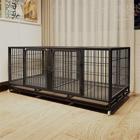 60e5c901-97d3-4055-a9ba-21b954ce3251.jpe