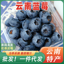 �����{ݮ���rˮ�������{÷�r��ժ��ɽ���w�ЋD���������]