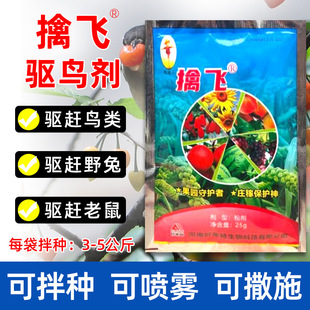 ���w��B���ɰ�N�ۄ��r����@�r����ׯ�ڌ�����B��һ�����l