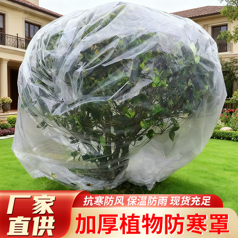 植物透明防寒罩树木过冬保温花卉防冻薄膜柑橘防霜保温袋加厚款