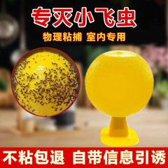 立式果蝇诱捕球粘飞虫球水果店厨房粘虫球小飞虫诱捕器果蝇诱捕器