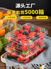 一斤装水果店包装盒一次性透明塑料带盖打包盒子整箱蔬菜草莓500g