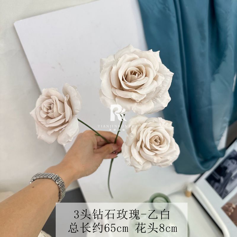 일반 다이아몬드 로즈 베이지