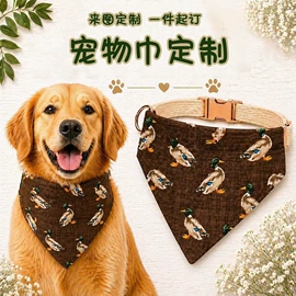 丝巾;围巾;披肩