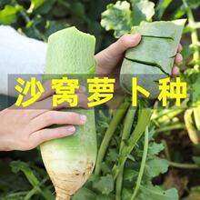 �������ɳ�C�}���N�������ζ������ˮ����ِ����¶�������ļ���