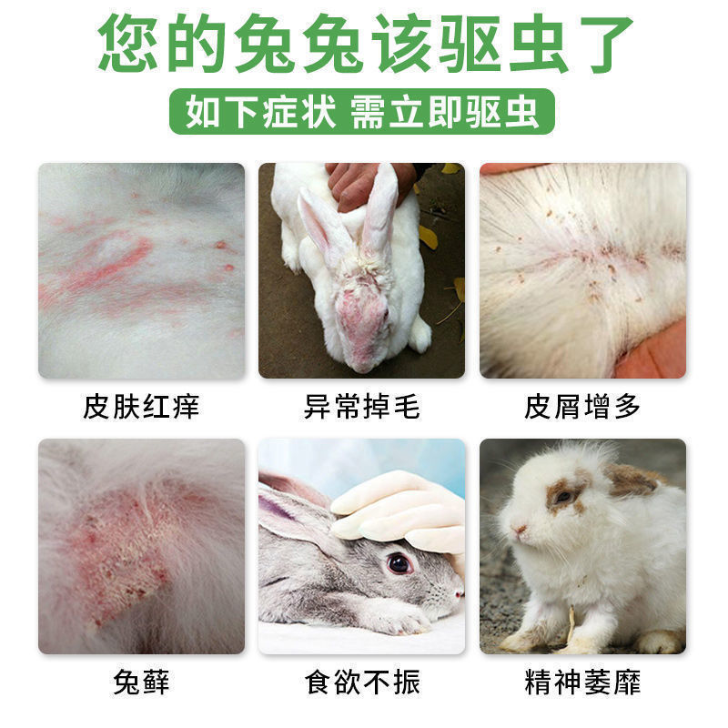 ウサギの外用駆虫、消毒、殺菌、外用ウサギ用品、ノミ・ダニ駆除用特殊殺虫剤|undefined