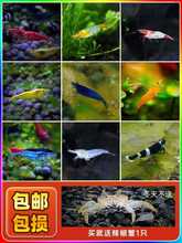 �^�p�r�ײͻ��w�ښ��r�����r�ѻ��O��ˮ���~�׵�ˮ�����r�����rҼ