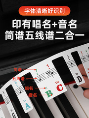 Piano keyboard sticker electric piano electronic keyboard key sticker keyboard strip 88 keys staff notation simplified notation note pitch sticker