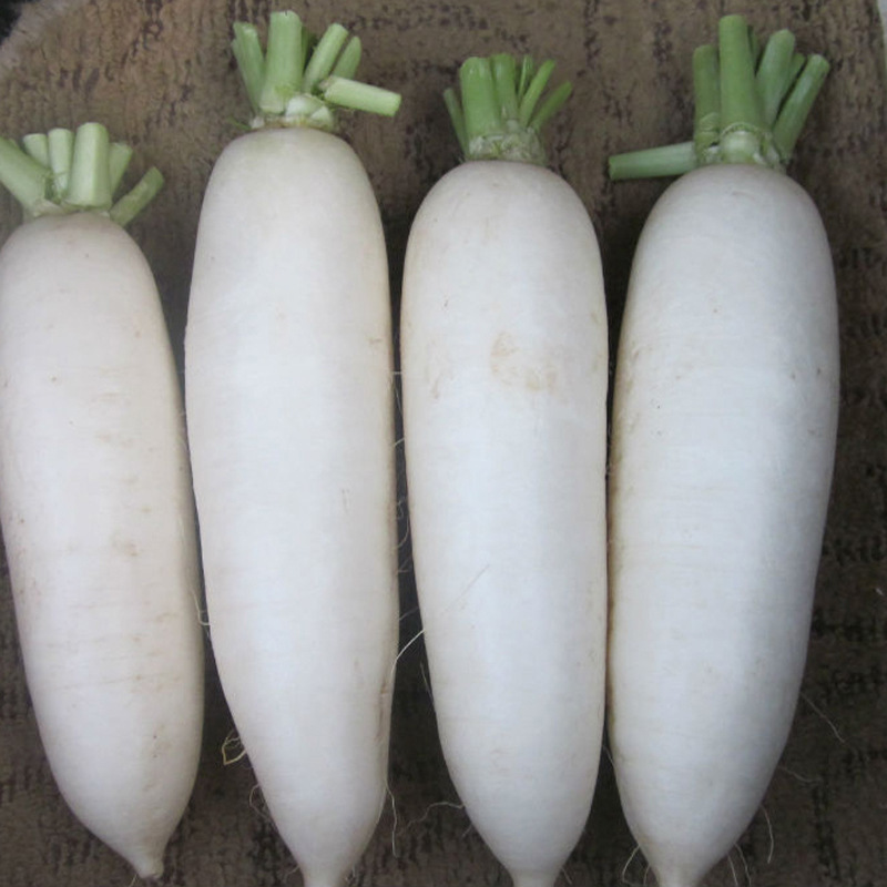 T13HN7FrNjXXXXXXXX_!!0-item_pi