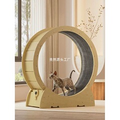 家用猫咪跑步机猫跑步机运动健身网红猫跑轮滚轮宠物猫玩具猫爬架