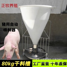 80�����Ͱ�i�ϲ��Ԅ��ϲ۲�ʳ�������iι�����i���Bֳ�O��