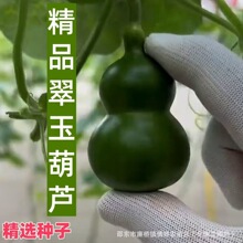 ī�GС���J�N�������J��������С���J�N�����恆���N�������̨