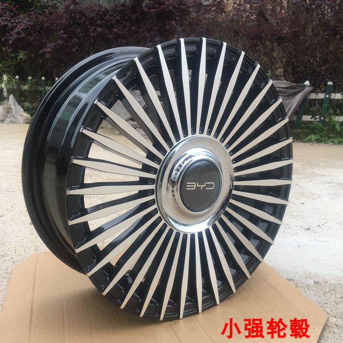 Suitable for Byd Su Rui Qin Dolphin Modified Seagull Hub Wheels