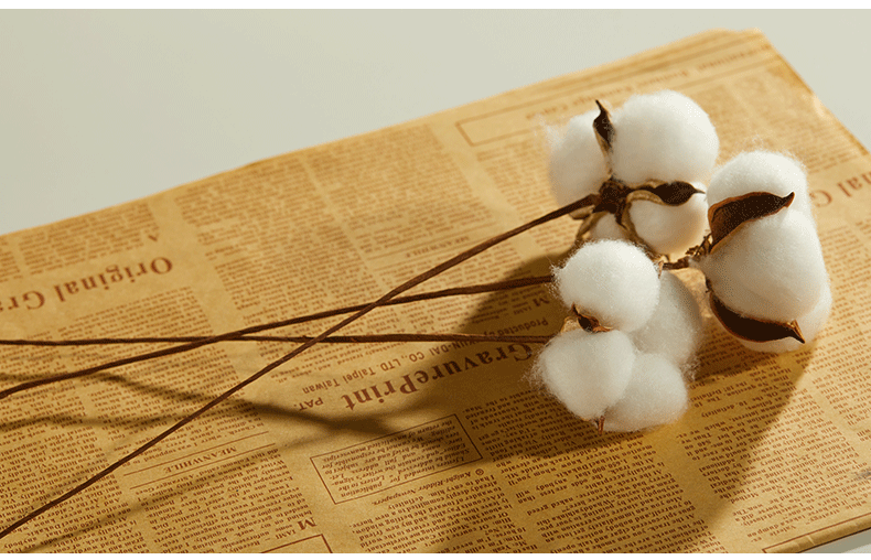 棉花_06.gif