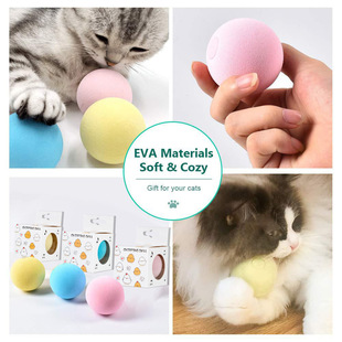 �羳������؈����؈�l������˽␞��������catball��ͨ
