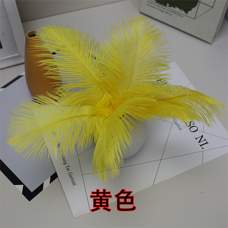 Plumas de avestruz bodas blancas de avestruz guía de plumas accesorios de fotos adornos rojo rosado en línea grandes plumas decoración