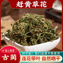 sSݻ500gҰɽĴAȫ껨»βؕ