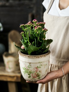 French Retro Old Pink Rose Ceramic Flower Pot Gardening Florals and Green Plants Succulent Scandinavian Hydroponic Vessel Decoration