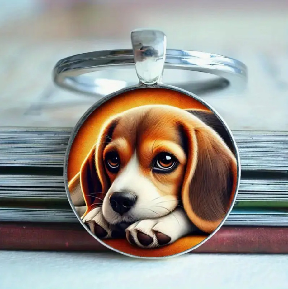 微信图片_20250405201747