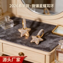 欧美时尚设计感大气耳饰微镶工艺立体五角星星耳环代发