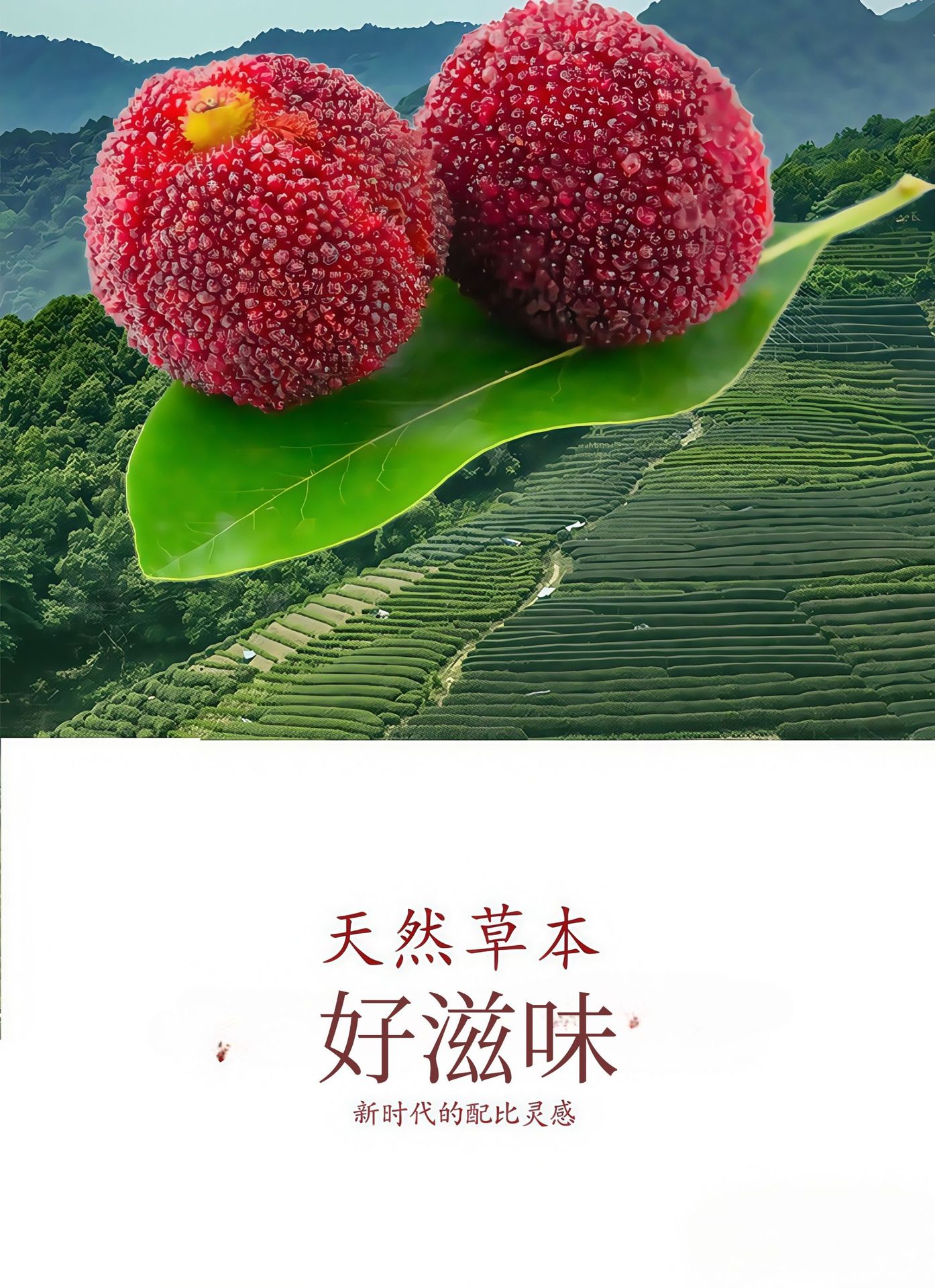 Bayberry Juice Concentrate Drink 150ml Box of 10 Sticks Refreshing Summer Beverage preparation