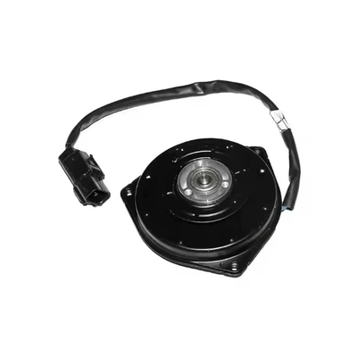 In Stock Fan, Fan