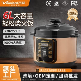 电压力锅;养生壶;厨房电器配件