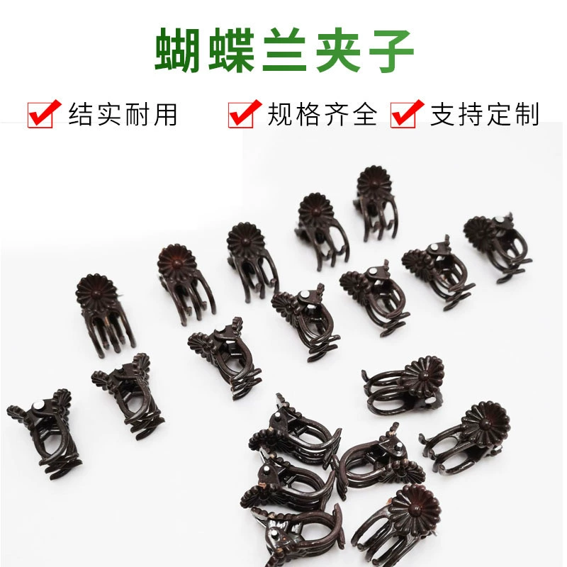 Фаленопсис зажим для поддержки растений зажим для орхидей фиксированный маленький зажим для цветов кронштейн для подъема лозы для садоводства