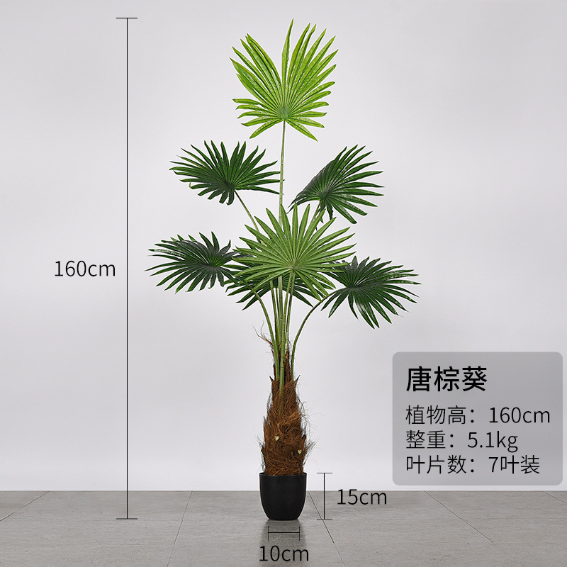 熱帯シミュレーション植物カリフォルニア州蒲葵鉢植え室内着地円葉扇葵偽樹緑植シミュレーション唐ブラウン葵|undefined