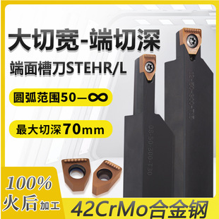 ���Ќ�����۵����U������70�۵����ؼ��L�в۸STEHRL�����A��